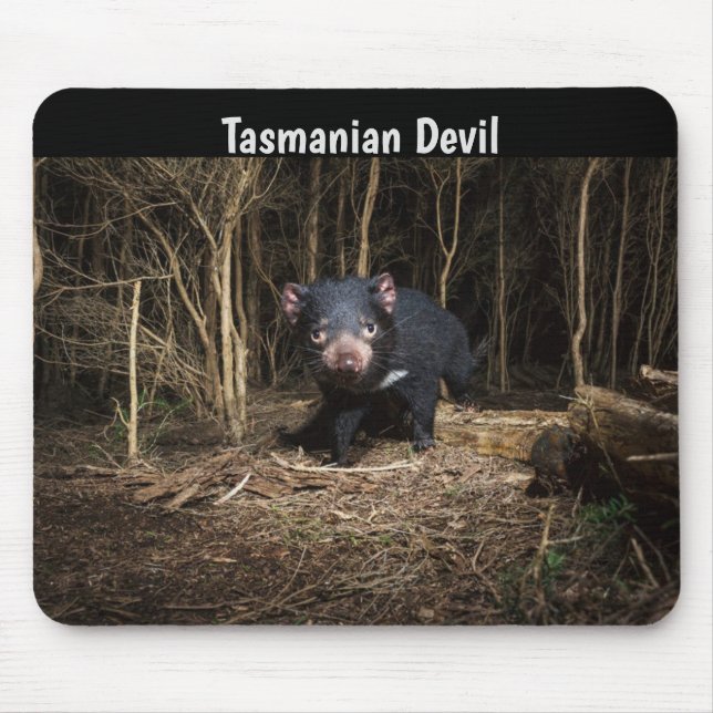 Australia's Tasmanian Devil Mouse Mat (Front)
