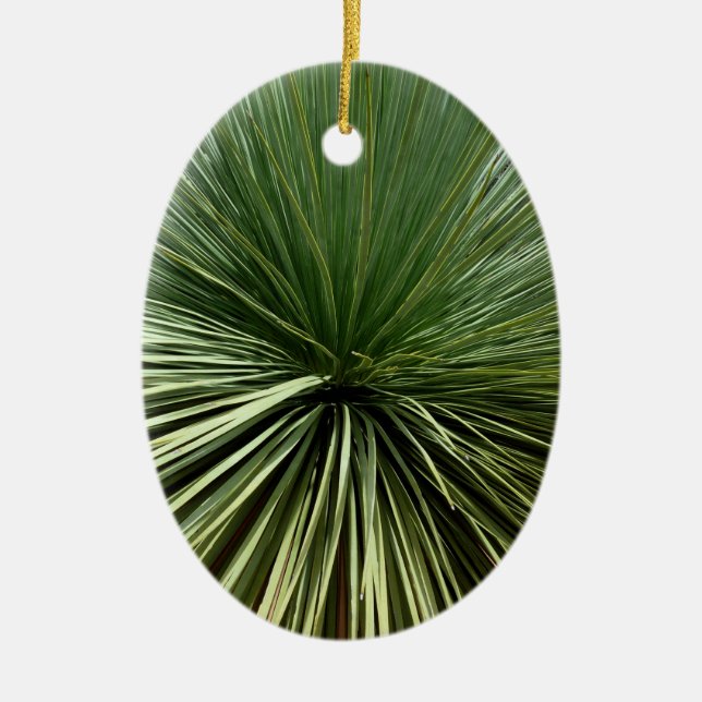 Australien Plant - abstract Ceramic Ornament (Front)
