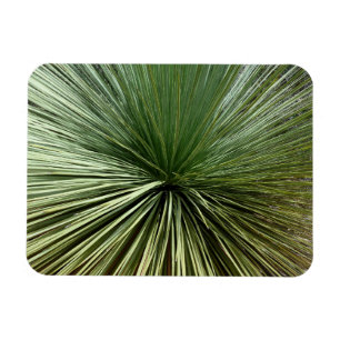 Australien Plant - abstract Magnet