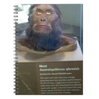 Australopithecus afarensis; museum exhibit. notebook