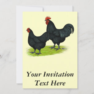 Australorp Black Chickens Invitation