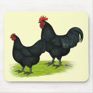 Australorp Black Chickens Mouse Mat