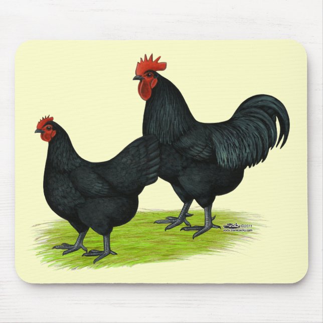 Australorp Black Chickens Mouse Mat (Front)