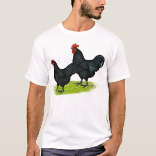 Australorp Black Chickens T-Shirt