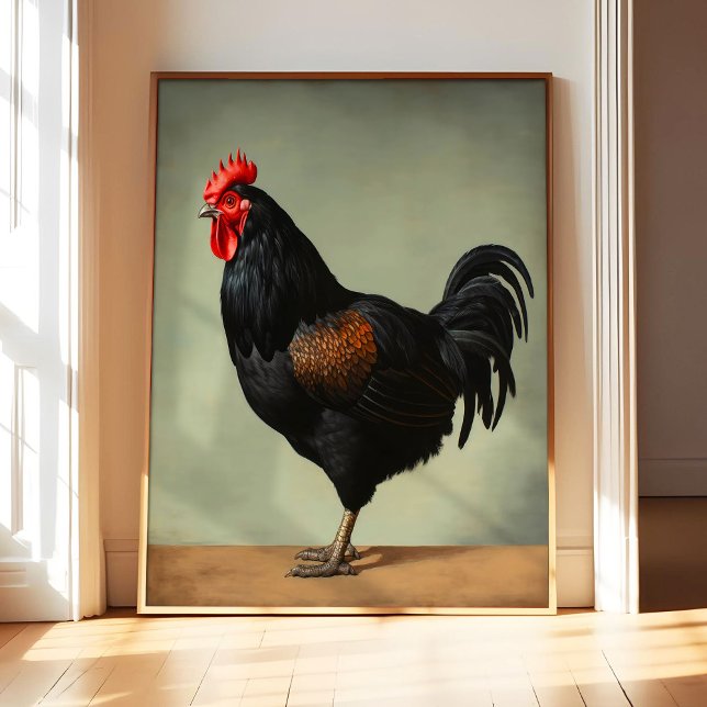 Australorp Chicken Art Print Poster, Vintage Bird  (Creator Uploaded)