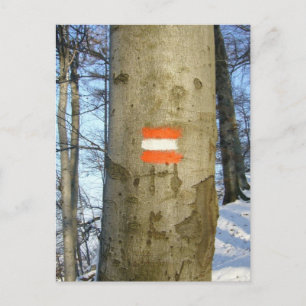 austria flag tree postcard