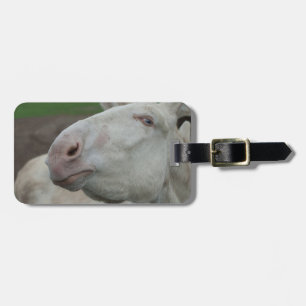 Austria-Hungarian White Donkey Luggage Tag