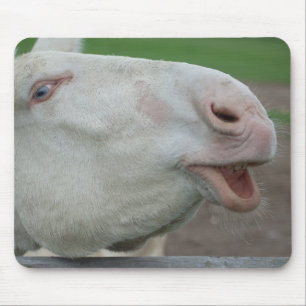 Austria-Hungarian White Donkey Mouse Mat