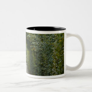 Austria, Vienna. Maria Theresa's baroque 2 Two-Tone Coffee Mug