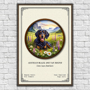Austrian Black and Tan Hound Zoology Series Poster