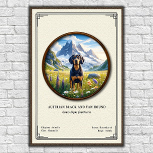 Austrian Black and Tan Hound Zoology Series Poster