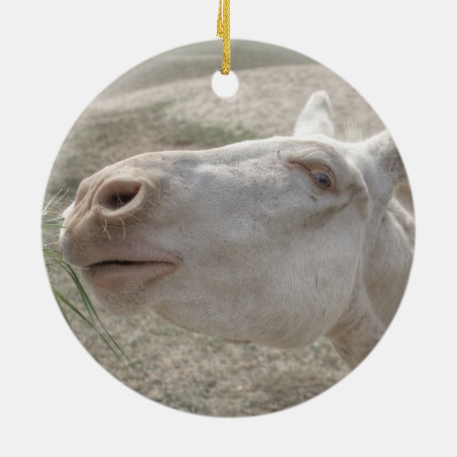 Austrian-Hungarian White Donkey Ceramic Tree Decoration (Back)