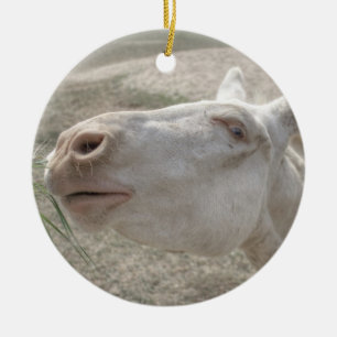 Austrian-Hungarian White Donkey Ceramic Tree Decoration