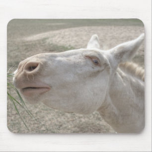 Austrian-Hungarian White Donkey Mouse Mat