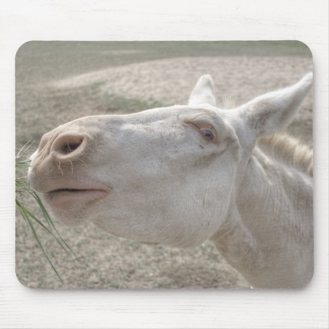 Austrian-Hungarian White Donkey Mouse Mat (Front)