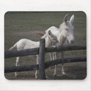 Austrian-Hungarian White Donkeys Mouse Mat