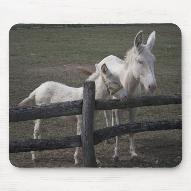 Austrian-Hungarian White Donkeys Mouse Mat (Front)