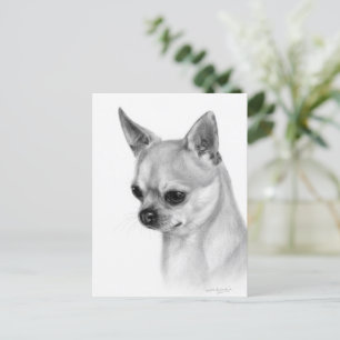 Authentic Chihuahua Artwork Postcard