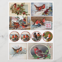 Authentic Victorian Era Postcards with Robins