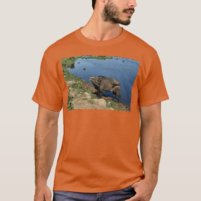 Authentic Vietnam Buffaloes and Rice Fields T-Shirt (Front)
