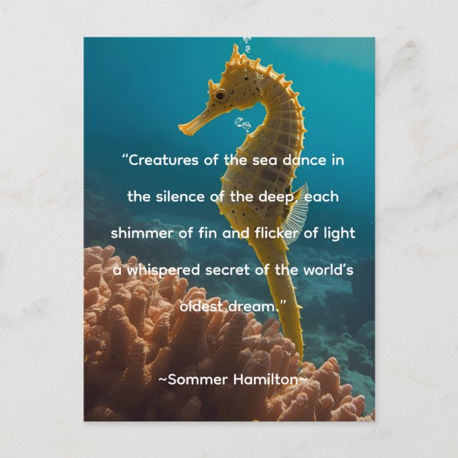 Author Collection by Author Sommer Hamilton Postcard (Front)