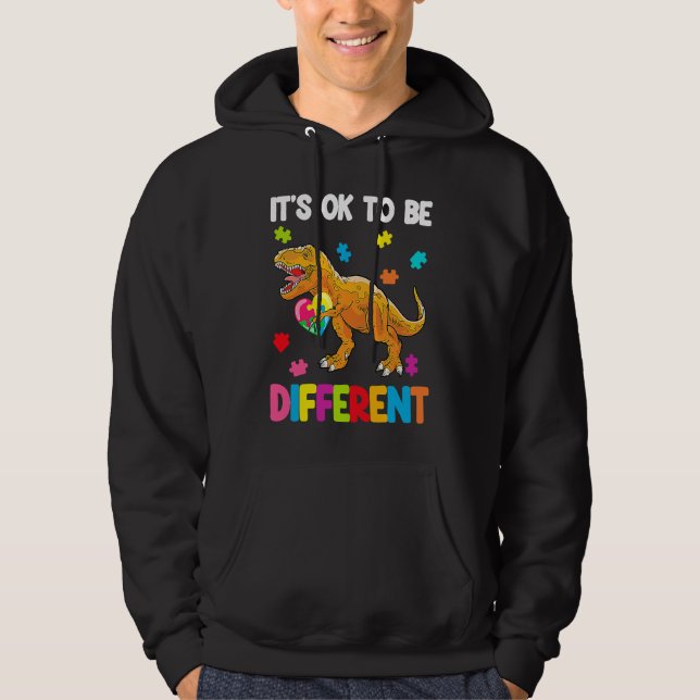 Autism Awareness Cute Dinosaur It's Ok To Be Diffe Hoodie (Front)