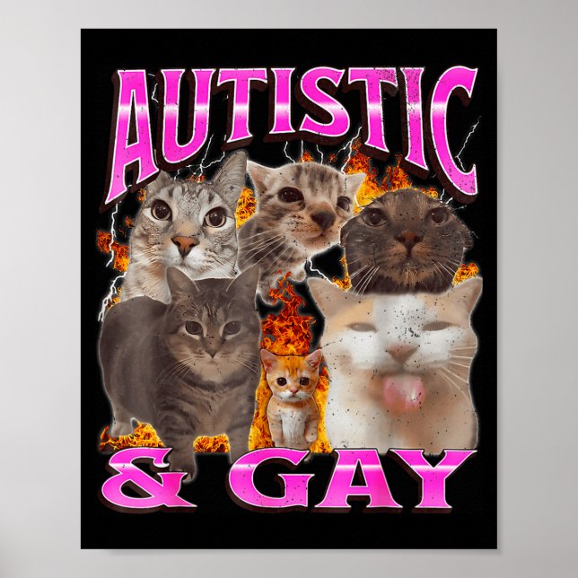 Autistic And Gay Funny Cat Meme Bootleg Graphic  Poster (Front)