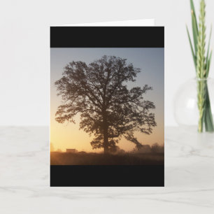 Autmn Tree At Dawn Card