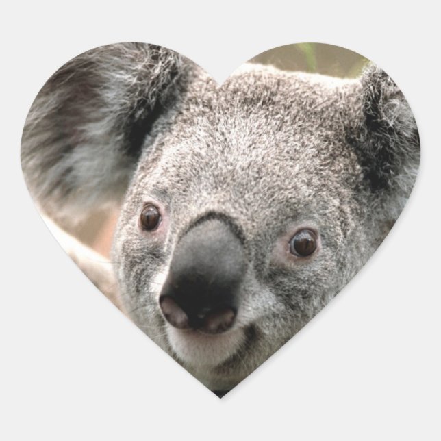 Auto-Koala-Pant Heart Sticker (Front)