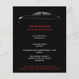 Auto Sale Bold  Flyer