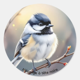 Autocollant Mésange à Tête Noire – Étang Burbank,  Classic Round Sticker