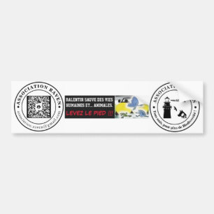 AUTOCOLLANT VOITURE - ASSOCIATION RAVEN BUMPER STICKER