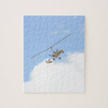 Autogyro In Flight