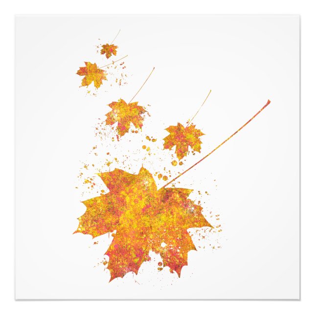 Automne Feuille Forêt Sauvage Nature Monde Terre V Photo Print (Front)