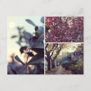 Automne Postcard