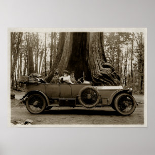 Automobile, Stanley Park, 1918, Vintage Poster