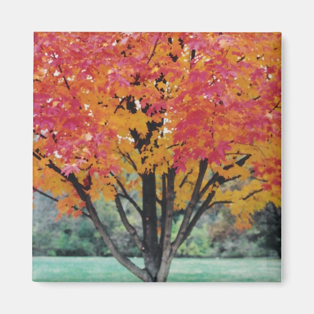 Autum Magnet (Front)