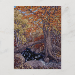 Autum Spring Postcard