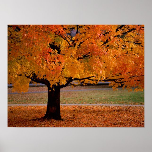 autumn (1) poster (Front)