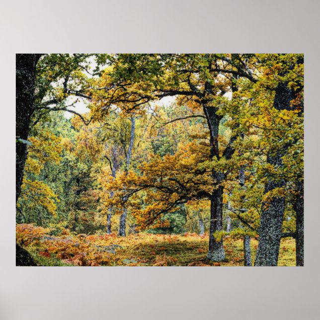 Autumn 34 poster (Front)