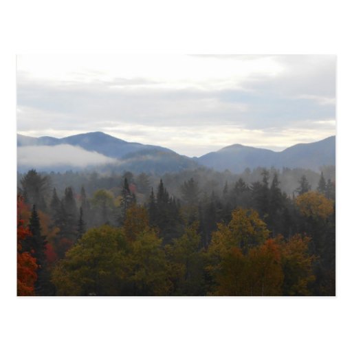 Image of Autumn Adirondacks Trees Scene Landscape Postcard