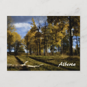 autumn afternoon, Alberta Postcard
