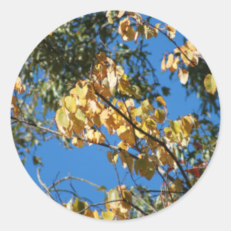Autumn Afternoon Classic Round Sticker