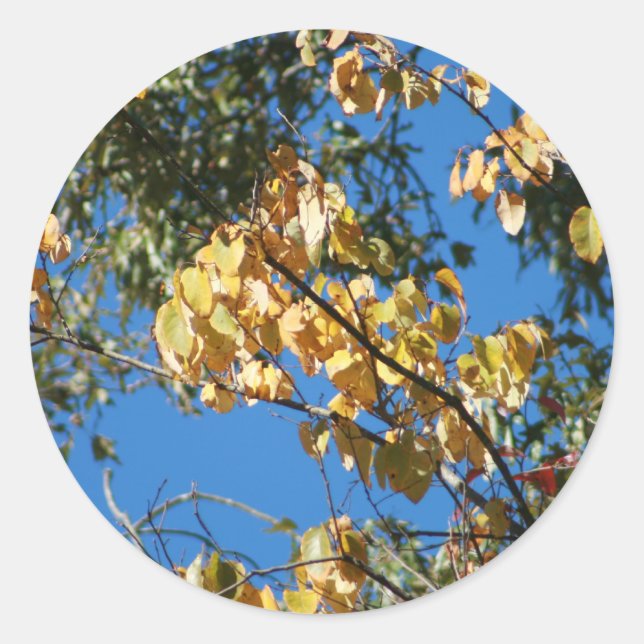 Autumn Afternoon Classic Round Sticker (Front)