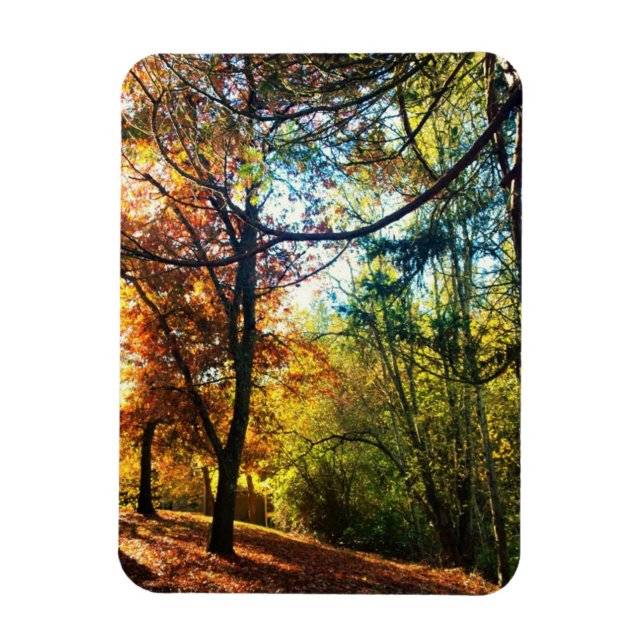 Autumn Afternoon Magnet (Vertical)