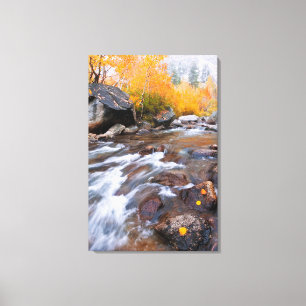 Autumn along Bishop Creek, CA Canvas Print