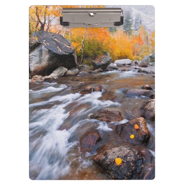 Autumn along Bishop Creek, CA Clipboard (Front)