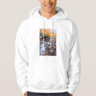 Autumn along Bishop Creek, CA Hoodie