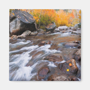 Autumn along Bishop Creek, CA Magnet
