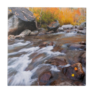 Autumn along Bishop Creek, CA Tile
